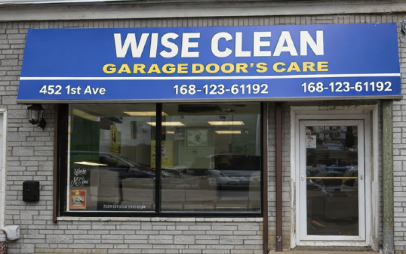 Wise Clean Garage Door's Care